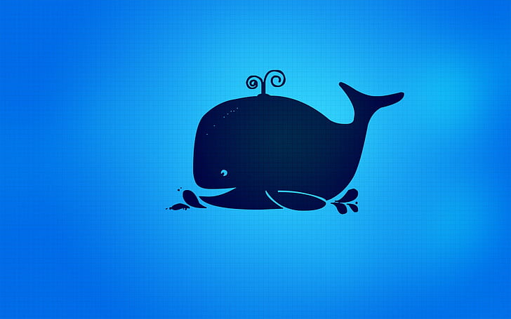 whale, HD wallpaper
