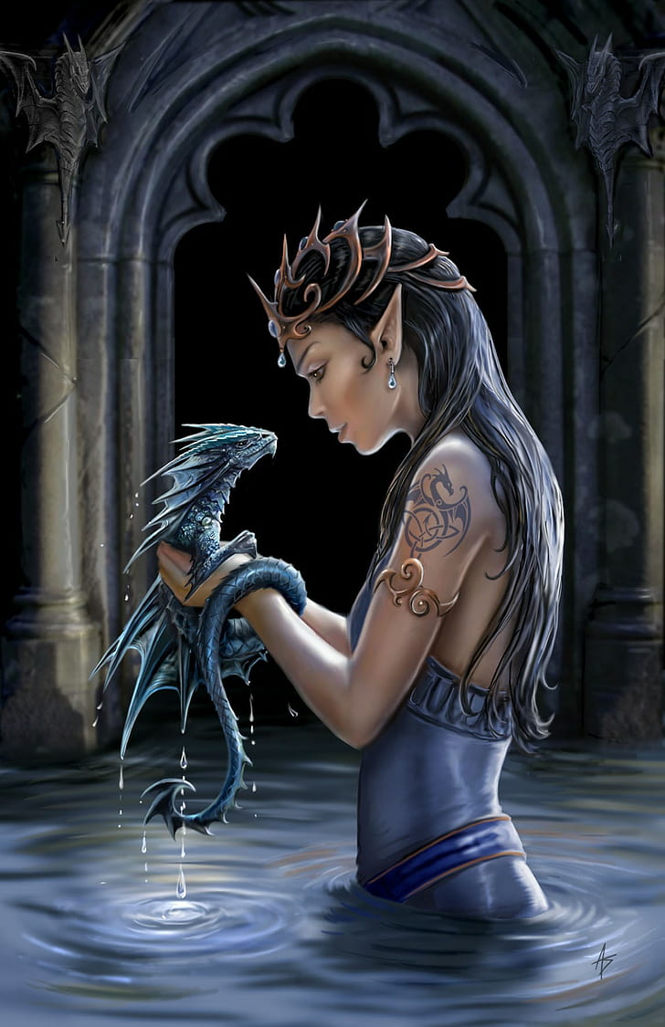 Wandrelief Drachen Figur Gothic Fantasy Dragon Duo by Anne Stokes 
