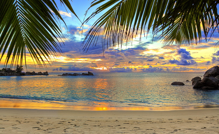 body of water, beach, tropics, sea, sand, palm trees, sunset