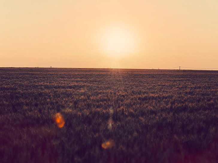 green field, landscape, sunset, photography, farm, power lines, HD wallpaper