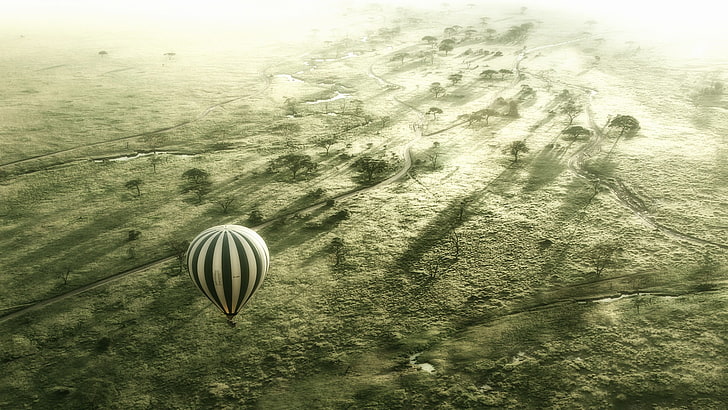 white and black stripe hot air balloon, Serengeti, Africa, nature, HD wallpaper