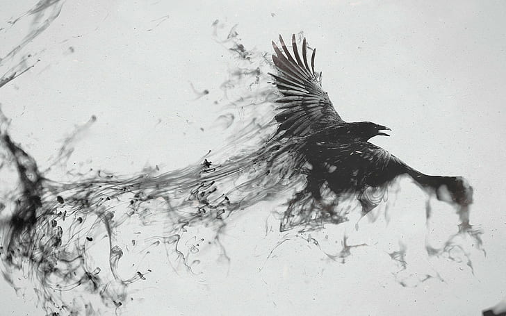 raven, bird, flying, smoke, black white, 4k pics