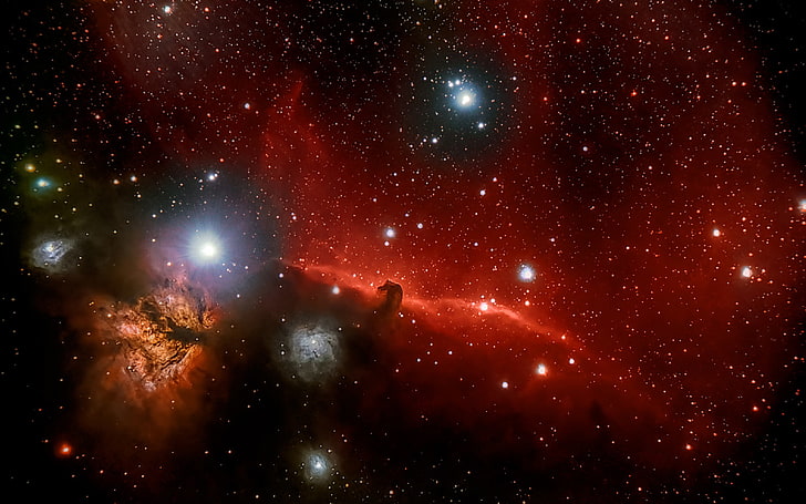 Horse Head, Orion, in the constellation, dark nebula, HD wallpaper