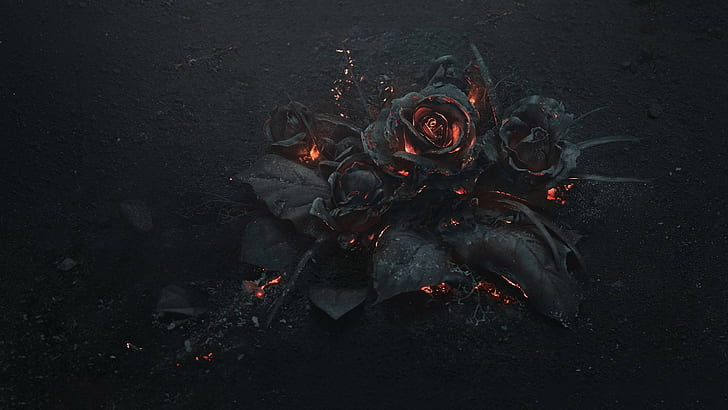 HD wallpaper: Flowers, Rose, Fire, Gothic | Wallpaper Flare