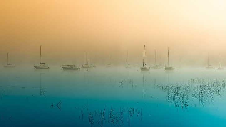 boat, mist, nature, water, beauty in nature, fog, tranquility, HD wallpaper
