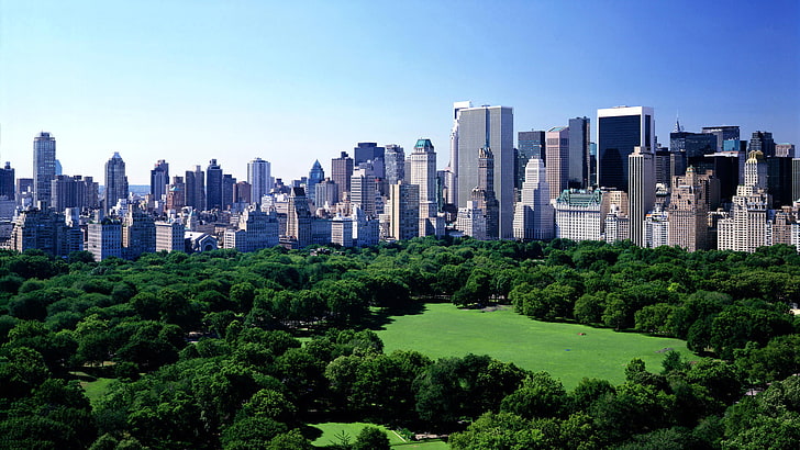 high rise buildings, nature, cityscape, New York City, USA, Central Park