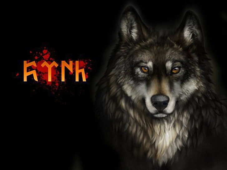 illustration of wolf, one animal, sign, mammal, communication
