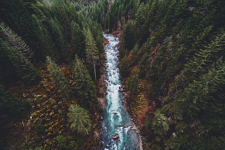 aerial view photo of body of water and forest, nature, river