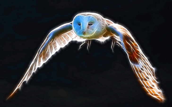 bird flight Flight Of Snowy Owl Animals Birds HD Art, wing, fractalius
