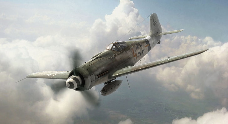 white and gray plane, aircraft, war, airplane, aviation, ww2, HD wallpaper