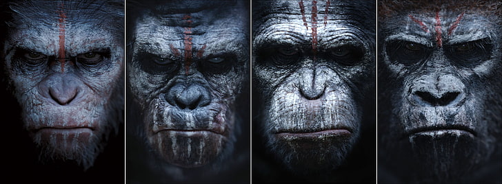 Featured image of post Planet Of The Apes Wallpaper Hd 119 minutes watch amazon itunes