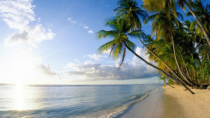 trinidad and tobago, body of water, sky, caribbean, shore, sea