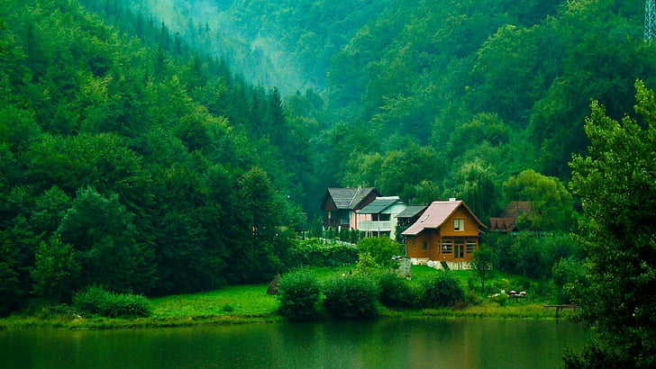 house, mountains, forest, lake, pine forest