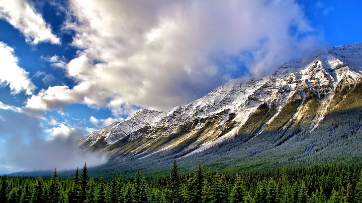 rocky mountain, nature, landscape, mountains, forest, cloud - sky, HD wallpaper