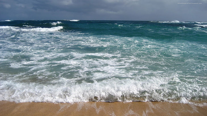 seashore and brown sand, beach, waves, sky, water, horizon, sport, HD wallpaper