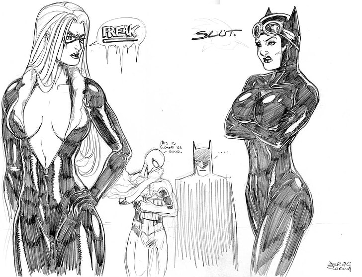 batman dc comics spiderman black cat catwoman marvel comics 1961x1501  Animals Cats HD Art