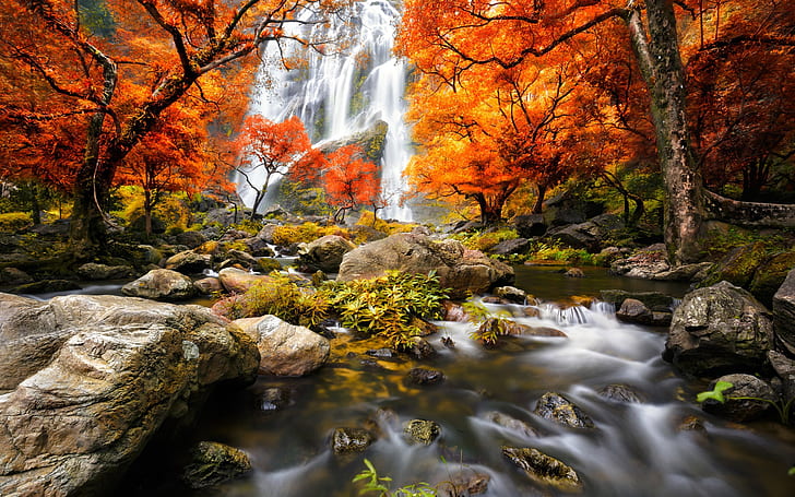 Autumn, forest, waterfalls, trees, red leaves, time lapse river photo, HD wallpaper