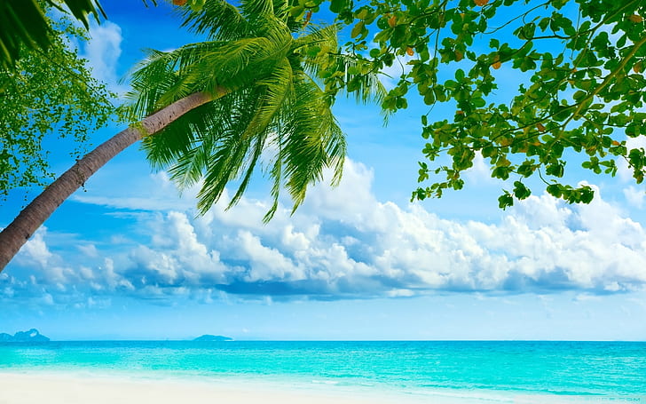 Tropical Beach Resorts Wallpaper 2560×1600, HD wallpaper