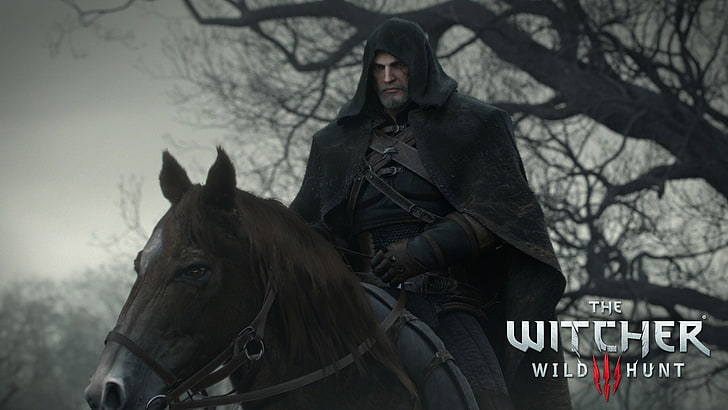 The Witcher 3 Wild Hunt digital wallpaper, The Witcher 3: Wild Hunt, HD wallpaper