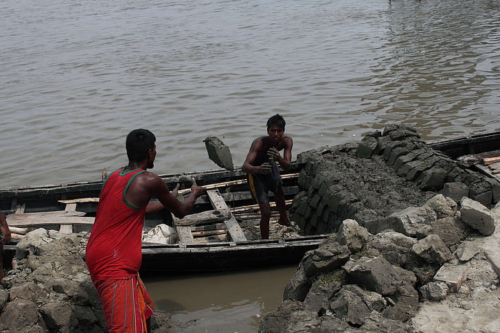 bangladesh, boat labor, canal, fisherman, flower, nature, paddy rice, HD wallpaper