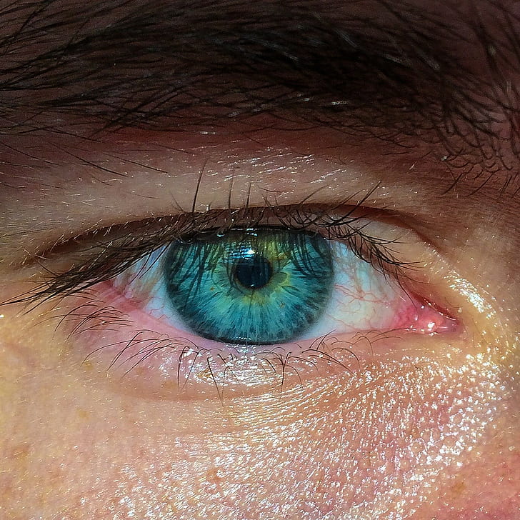 eyes, sunlight, blue eyes