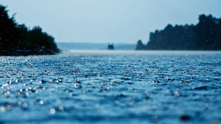 depth of field, lake, water, rain, nature, landscape, water drops, HD wallpaper