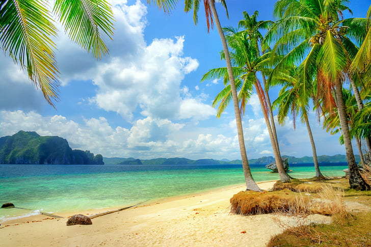 Blue ocean and beach, tropical, paradise, coast, Sea, emerald
