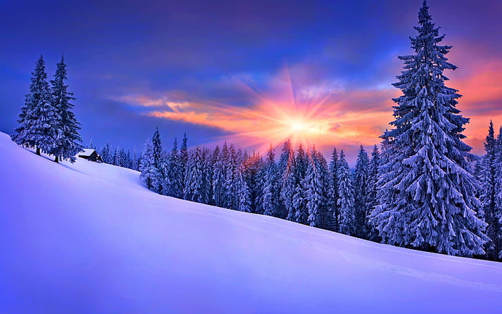 Late Winter Sunset, snow, trees, forest, landscape, HD wallpaper