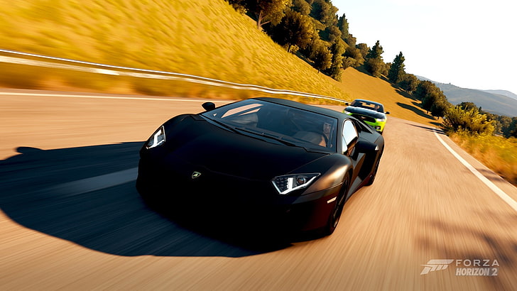 Forza Horizon 2, car, supercars, Lamborghini Aventador, Ford Mustang, HD wallpaper