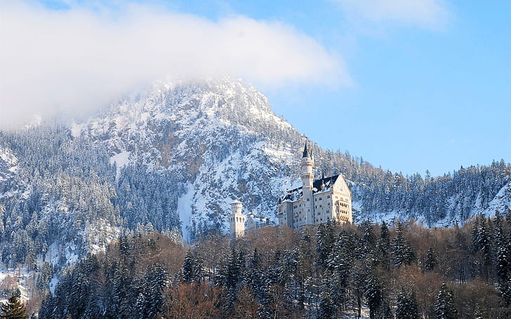 Neuschwanstein, Germany, Bavaria, castle, winter, trees