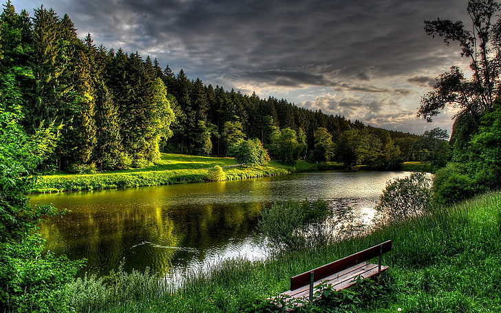brown wooden bench, lake, forest, nature, plant, tree, beauty in nature