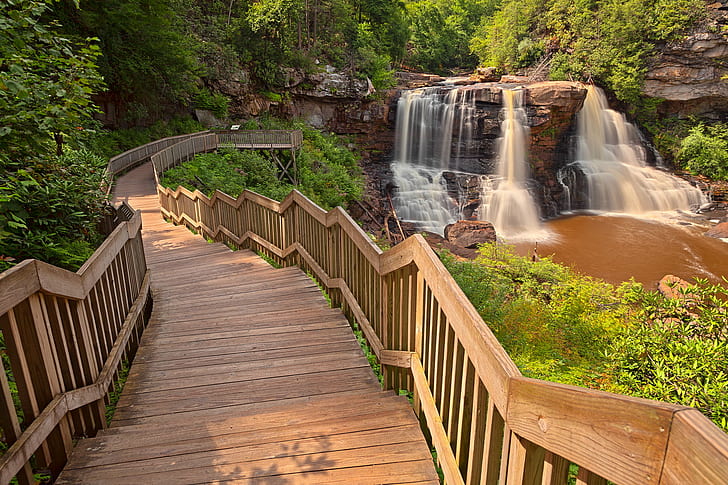 brown wooden stairway near water falls, blackwater falls, blackwater falls