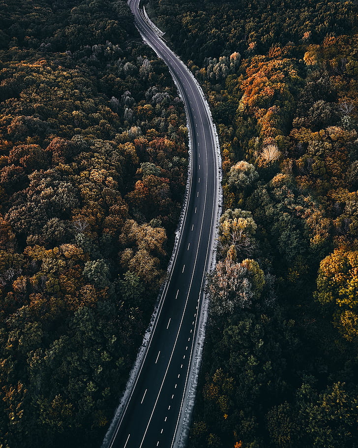 asphalt, aerial, forest, road, highway