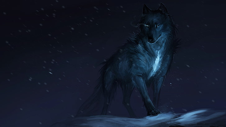 wolf, fantasy art, winter, snowfall, night, darkness, sky, wildlife
