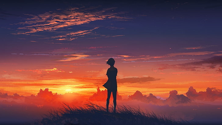 anime, Der Wanderer über Dem Nebelmeer, nature, sky, sunset, HD wallpaper