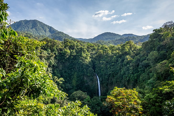 Nature, Waterfall, Forest, Jungle, Landscape, Costa Rica