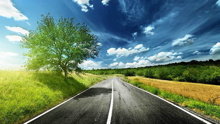 asphalt road, landscape, plant, sky, transportation, cloud - sky