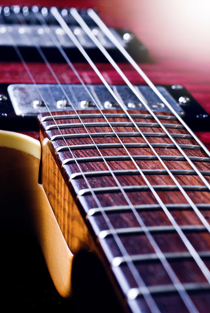 micro photography of electric guitar's strings, allen, allen