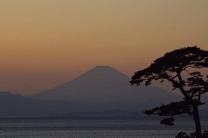 mountain and tree silhouette during golden hour, dsc, Mt.Fuji