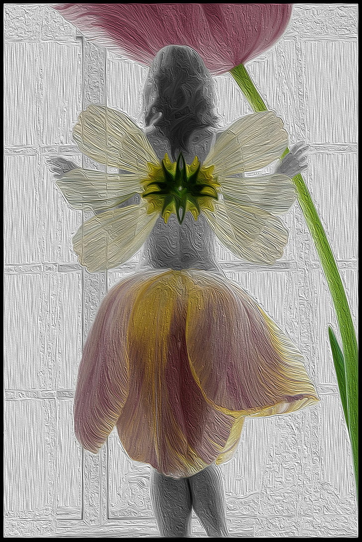 fairies, flowers, tulips, flowering plant, freshness, nature, HD wallpaper