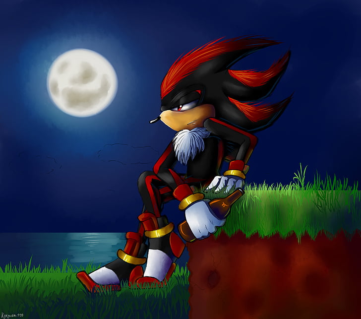 Hd Wallpaper Sonic Shadow The Hedgehog Full Length Moon