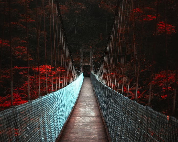 brown bridge, landscape, nature, dark, fall, trees, red, bridge - Man Made Structure, HD wallpaper