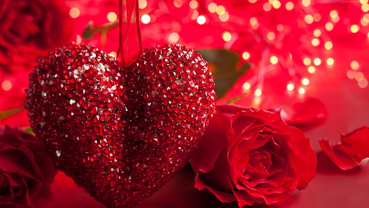 Rose, romantic, love, heart, red, romance, 5k, Valentines Day