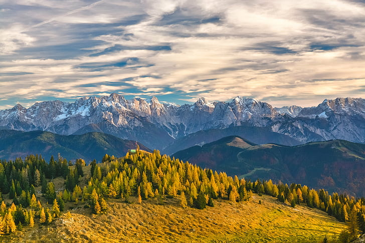 photo of green tree on top of mountain during daytime, austria, austria, HD wallpaper