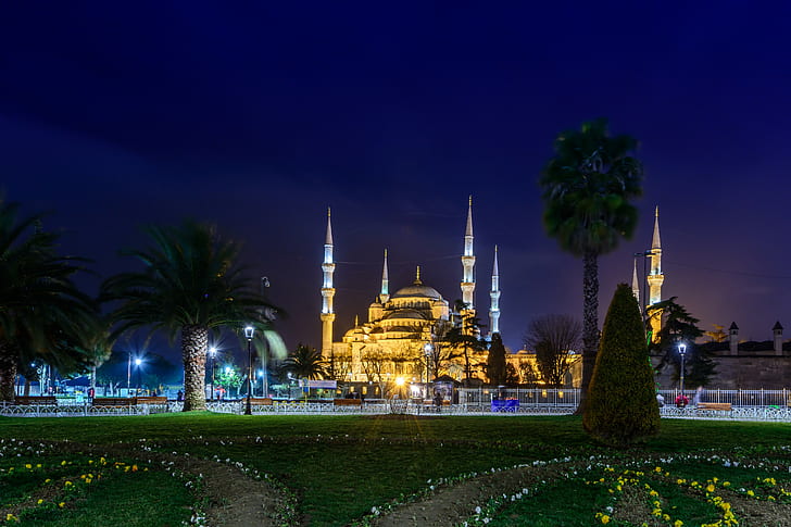 Istanbul, Cathedral, Turkey, palm trees, photo, the city, lawn, HD wallpaper