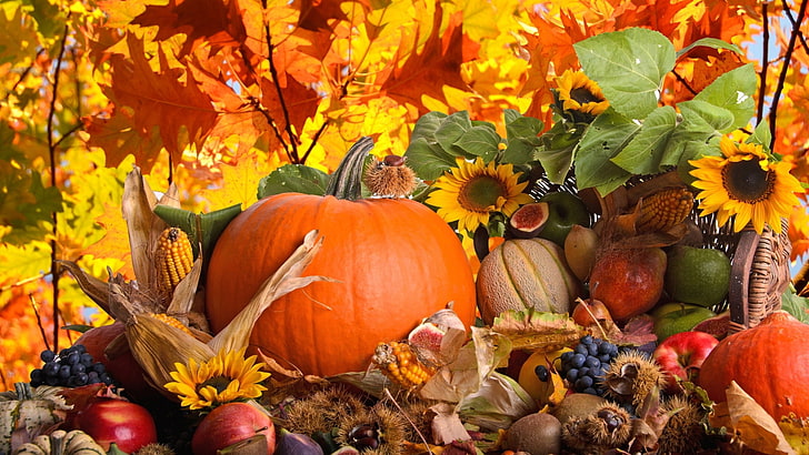 squash, pumpkin, vegetable, produce, halloween, autumn, orange, HD wallpaper