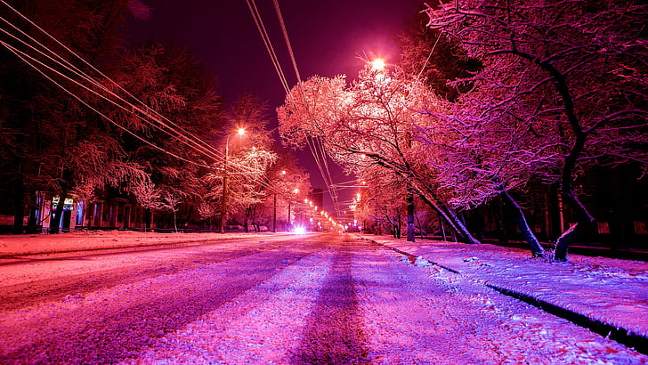frozen, russia, moscow, branch, evening, lighting, purple, night, HD wallpaper