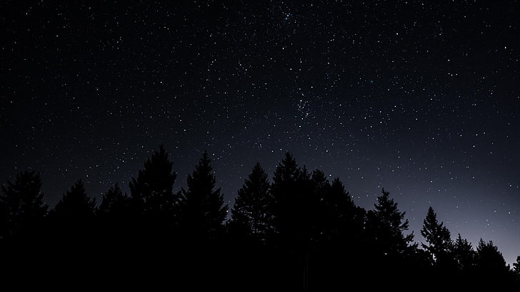 silhouette, starry sky, starry night, stars, night sky, tree, HD wallpaper
