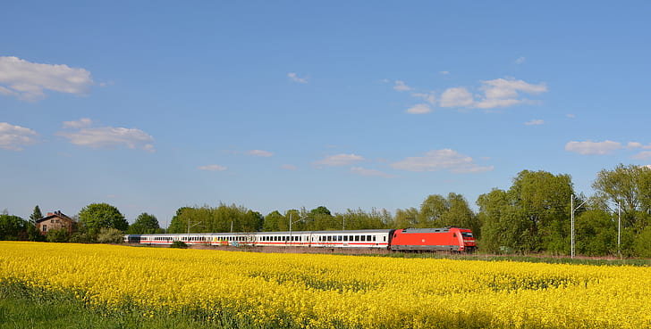 panoramic photograph of red train during daytime, db intercity, db intercity