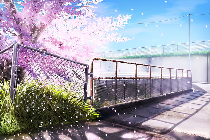 HD wallpaper: cherry blossom, scenic, petals, fence, plants, Anime, nature  | Wallpaper Flare